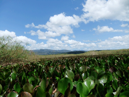 chapada-diamantina-day2-02