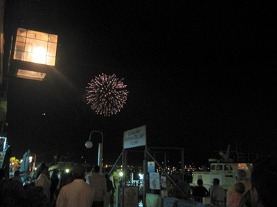 fireworks-at-independence-day02