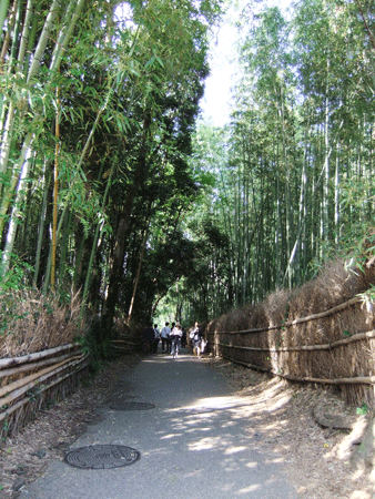 from-kyoto-station-to-arashiyama-07