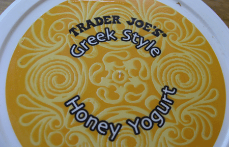 private-brand-trader-joes-greek-style-yogurt01